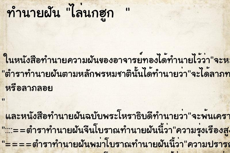 ทำนายฝัน ไล่นกฮูก  